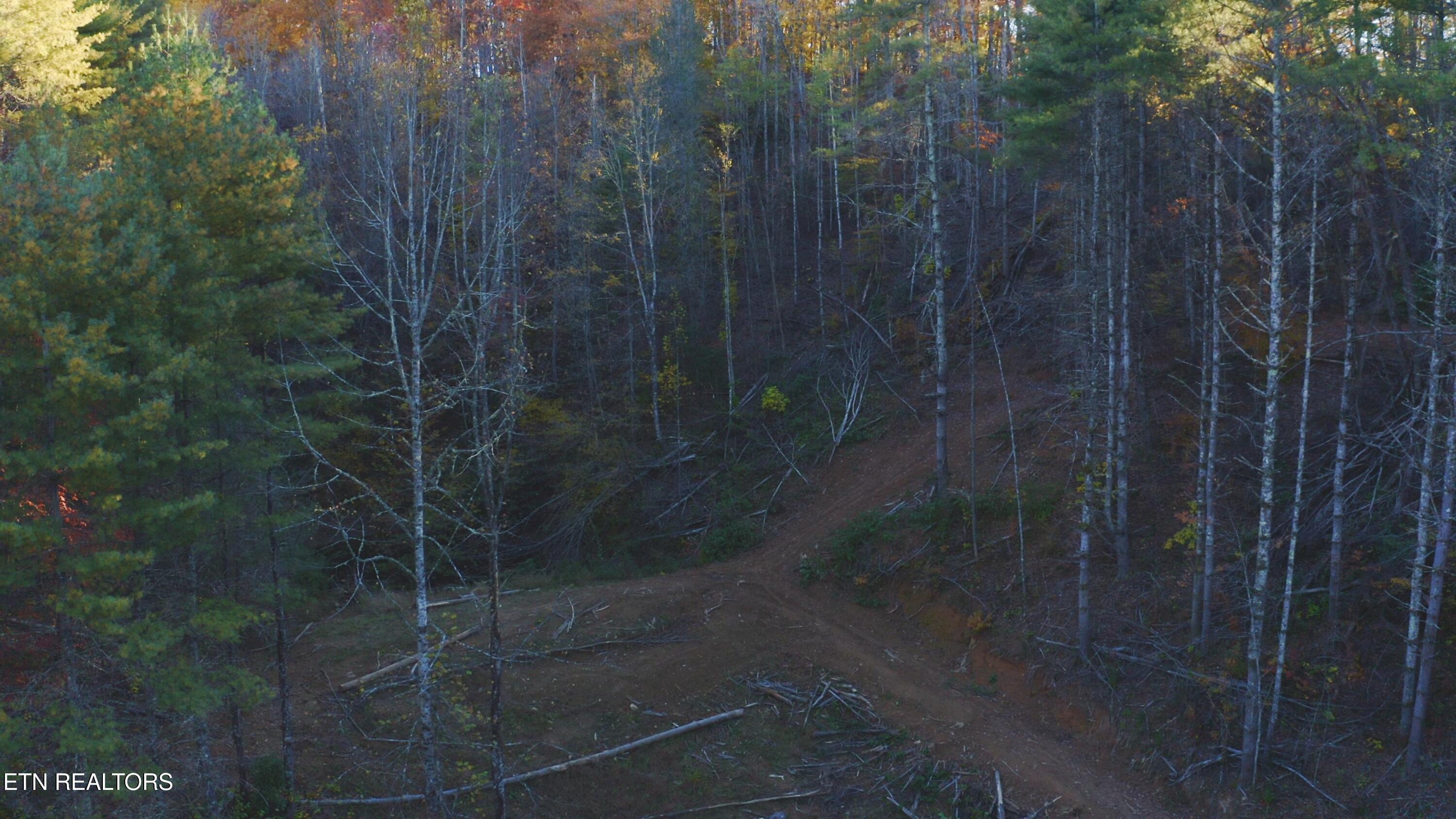 410 Seay Hollow Road Del Rio, TN 37727 - Photo 32 of 34 Untitled_2.26.1