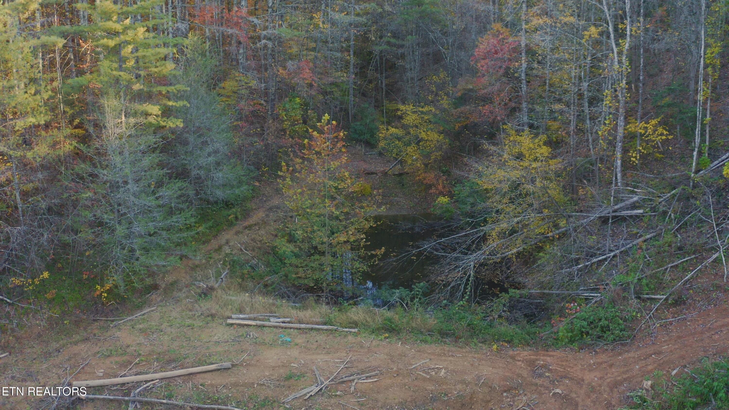 410 Seay Hollow Road Del Rio, TN 37727 - Photo 4 of 34 Untitled_2.3.1