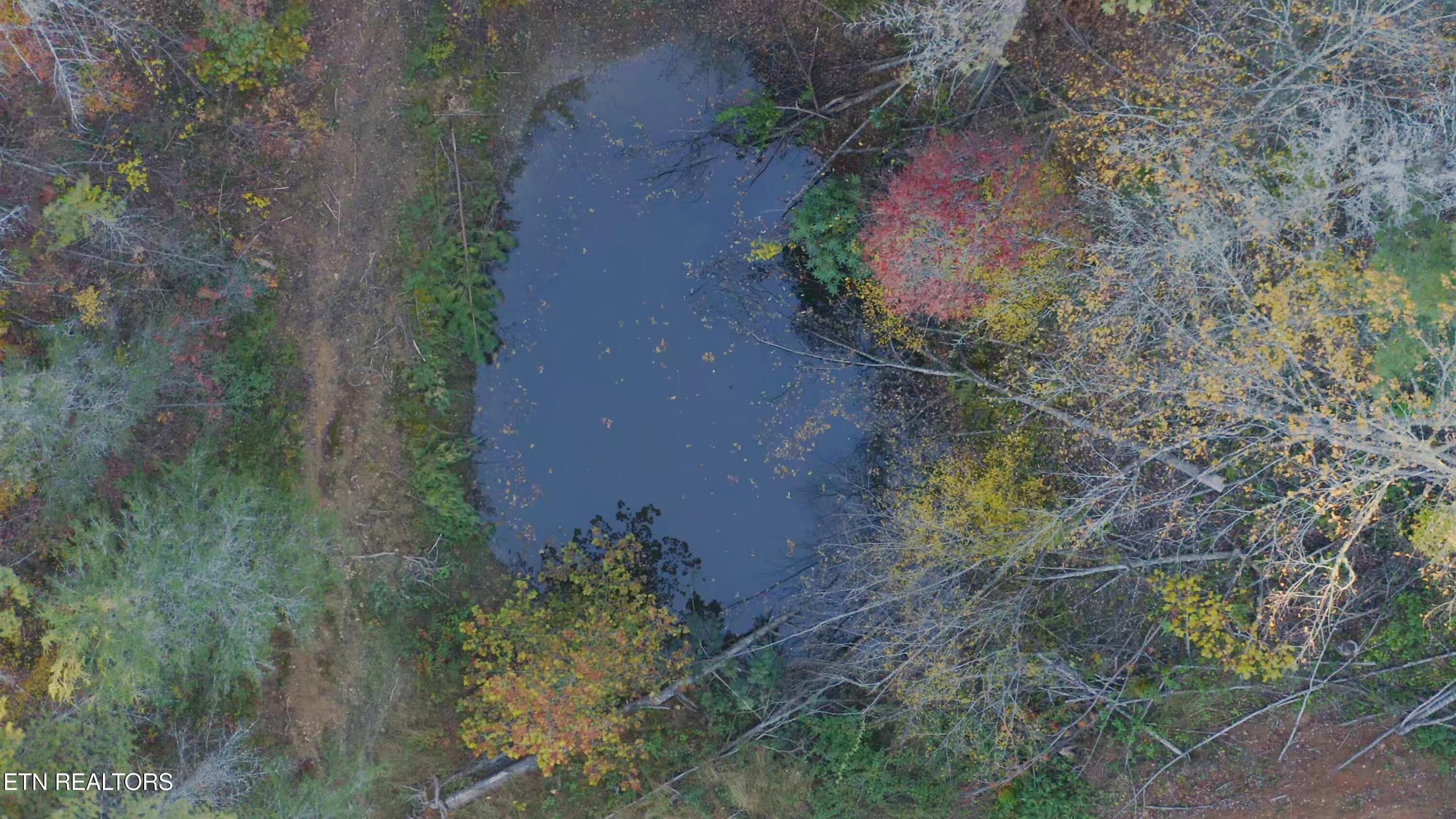 410 Seay Hollow Road Del Rio, TN 37727 - Photo 5 of 34 Untitled_2.4.1