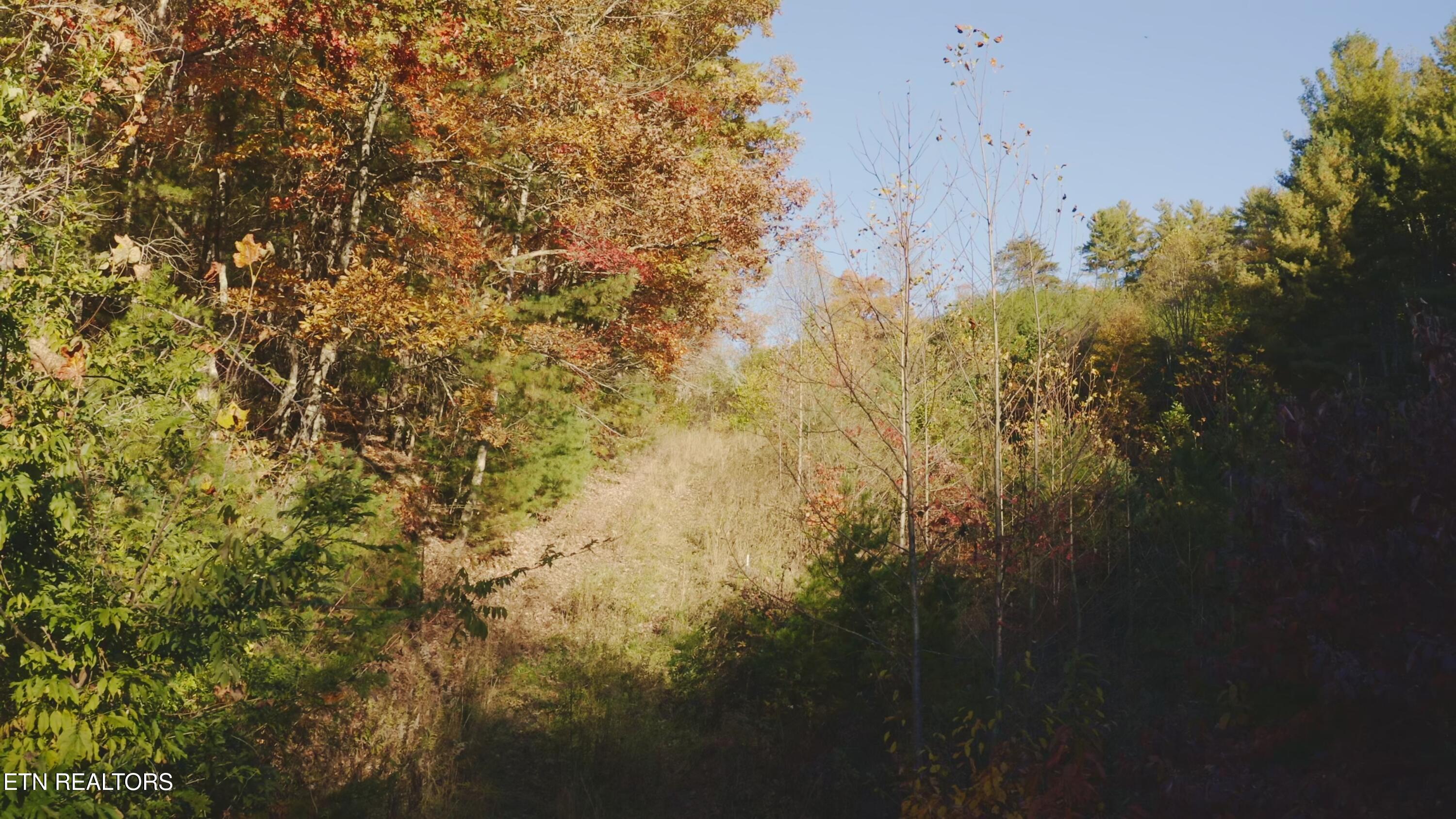 410 Seay Hollow Road Del Rio, TN 37727 - Photo 8 of 34 Untitled_2.7.1