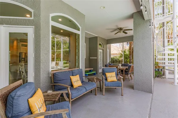 a view of a park with potted plants and large tree