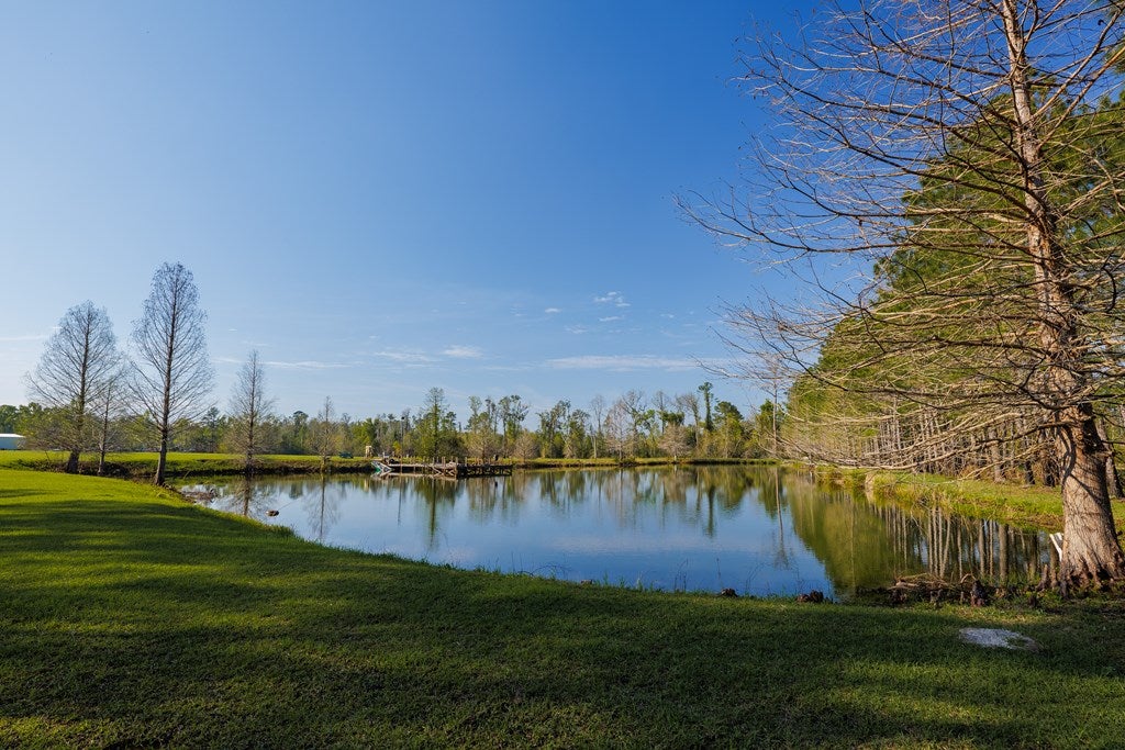 3497 Brown Road Valdosta, GA 31601 - Photo 23 of 73 Gallery Image 23