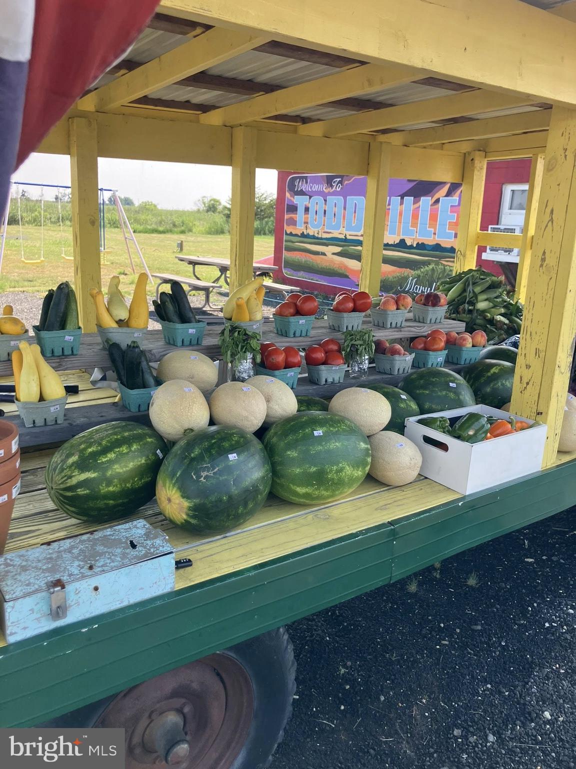 2575 Toddville Road Toddville, MD 21672 - Photo 23 of 26