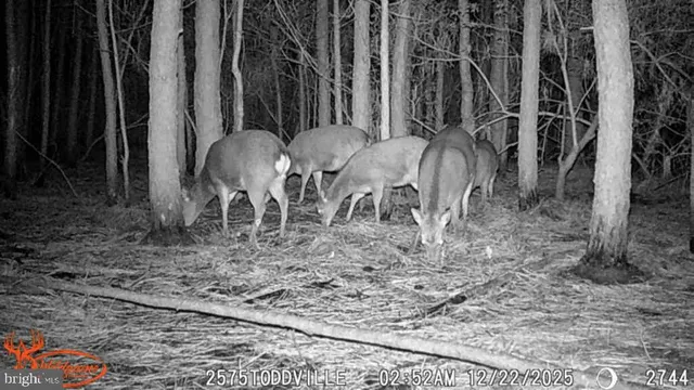 $99,000 | 2575 Toddville Road, Toddville, MD 21672