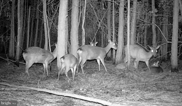 $79,000 | 2575 Toddville Road, Toddville, MD 21672