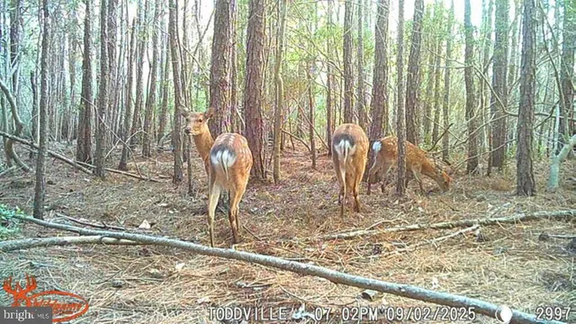 $99,000 | 2575 Toddville Road, Toddville, MD 21672