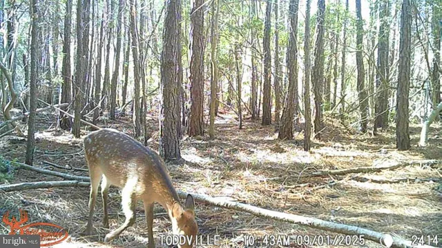 $99,000 | 2575 Toddville Road, Toddville, MD 21672