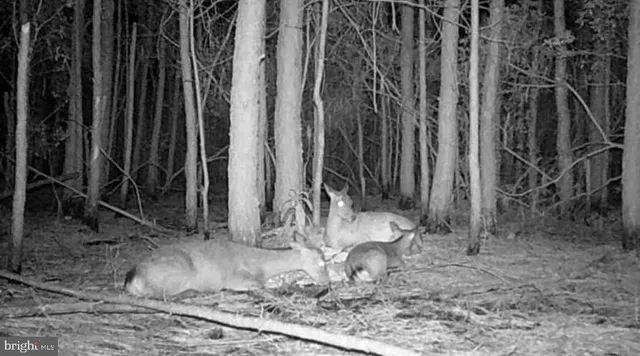 $99,000 | 2575 Toddville Road, Toddville, MD 21672