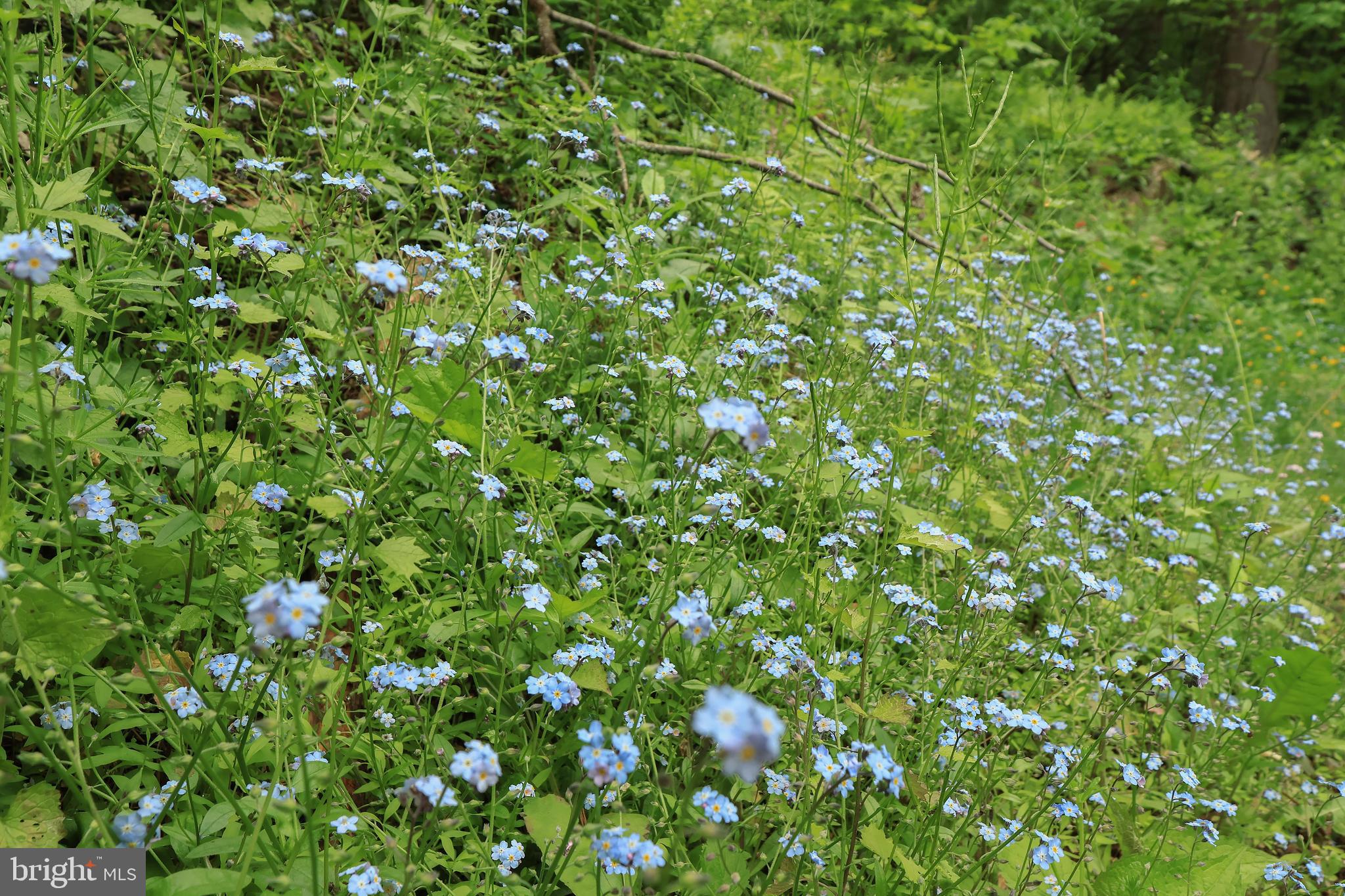 904 Moose Run Road Bellefonte, PA 16823 - Photo 50 of 62