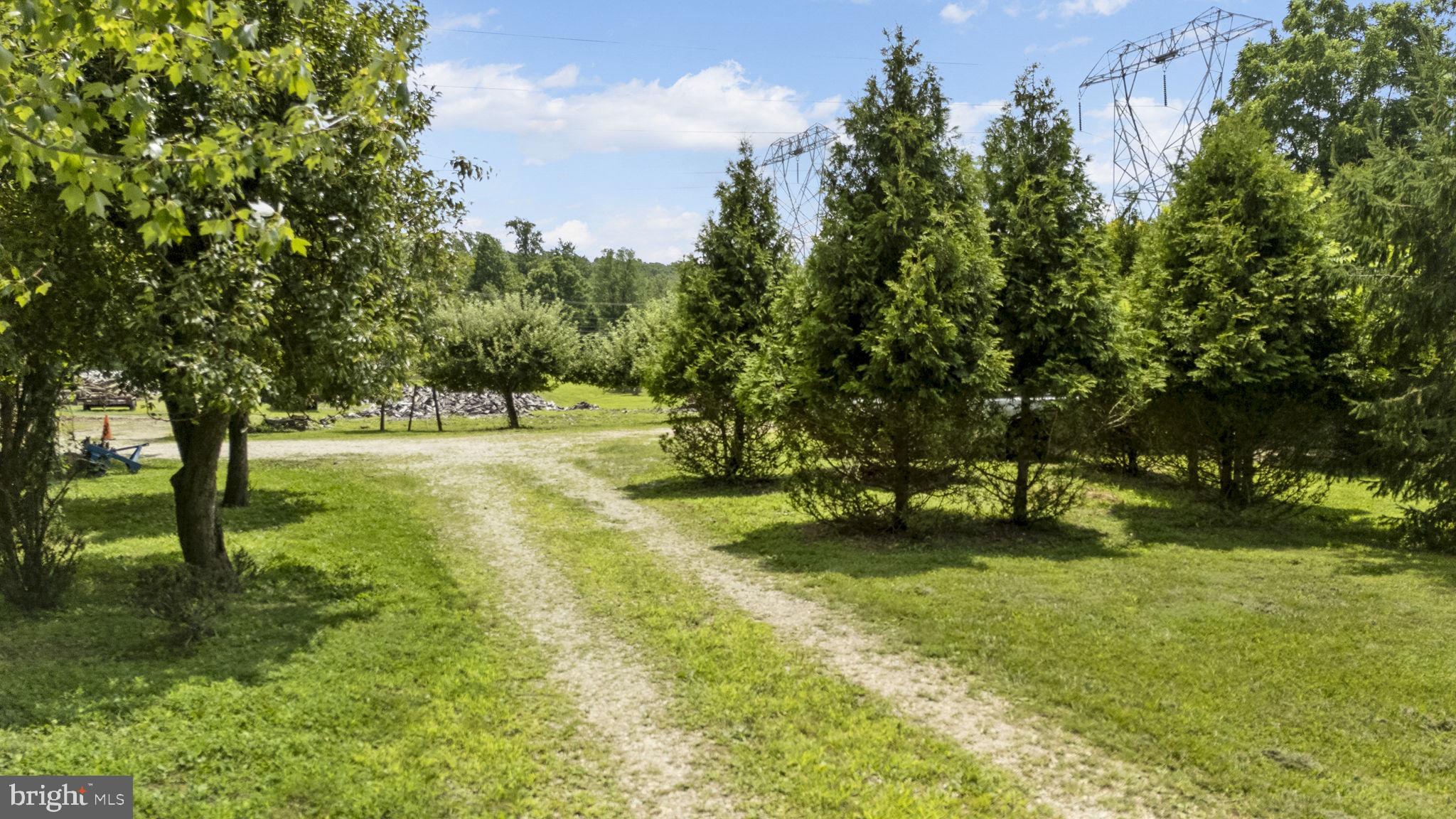 220 Old State Road Berwyn, PA 19312 - Photo 22 of 36 a view of yard with green space