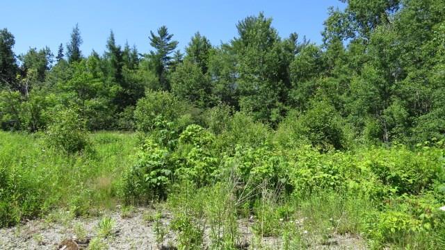 171 Red Bridge Road Ellsworth, ME 04605 - Photo 20 of 29 Photo
