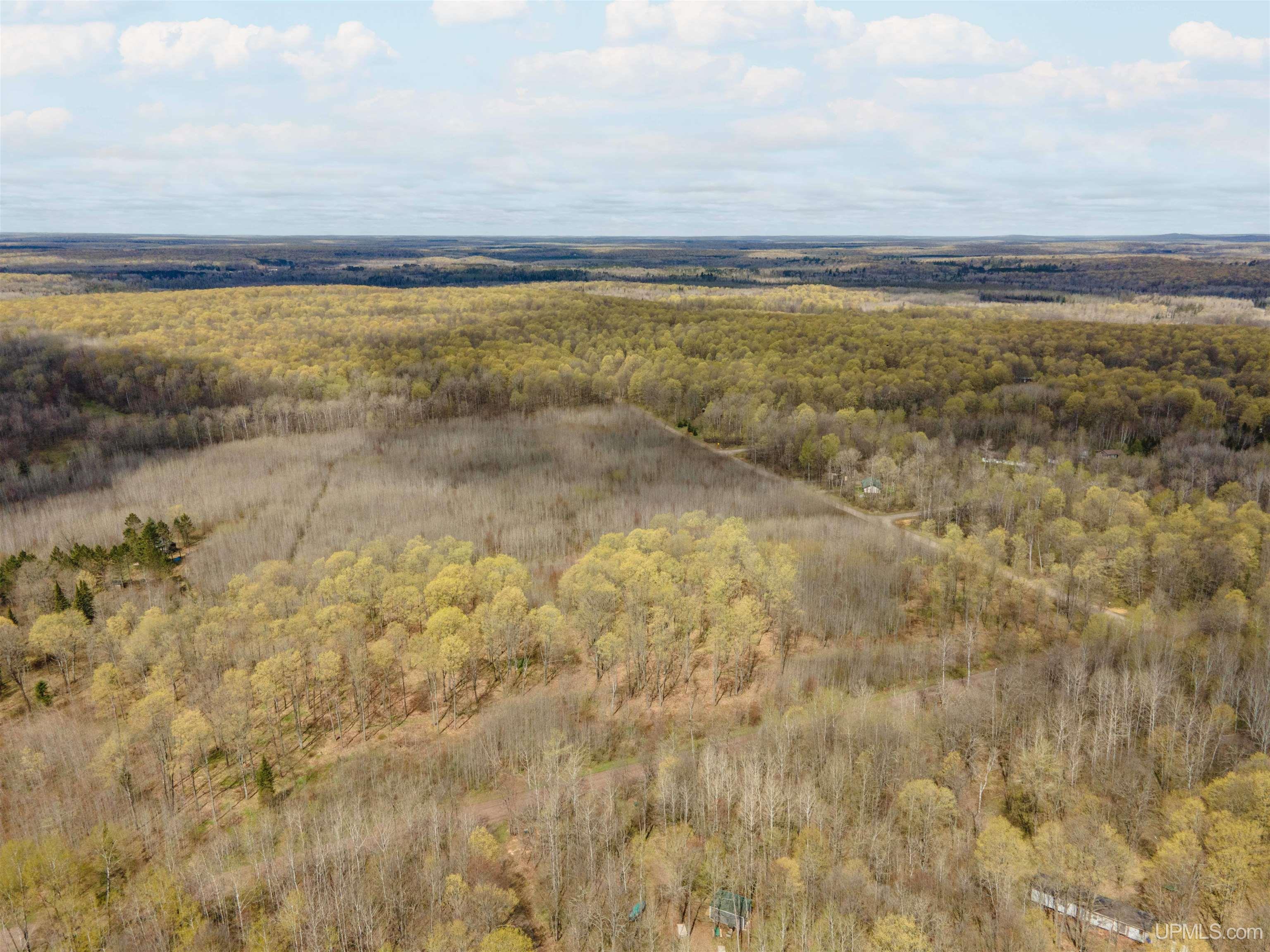 1 Easement Road, Unit LOT 1 Long Lake, WI 54542 - Photo 5 of 5
