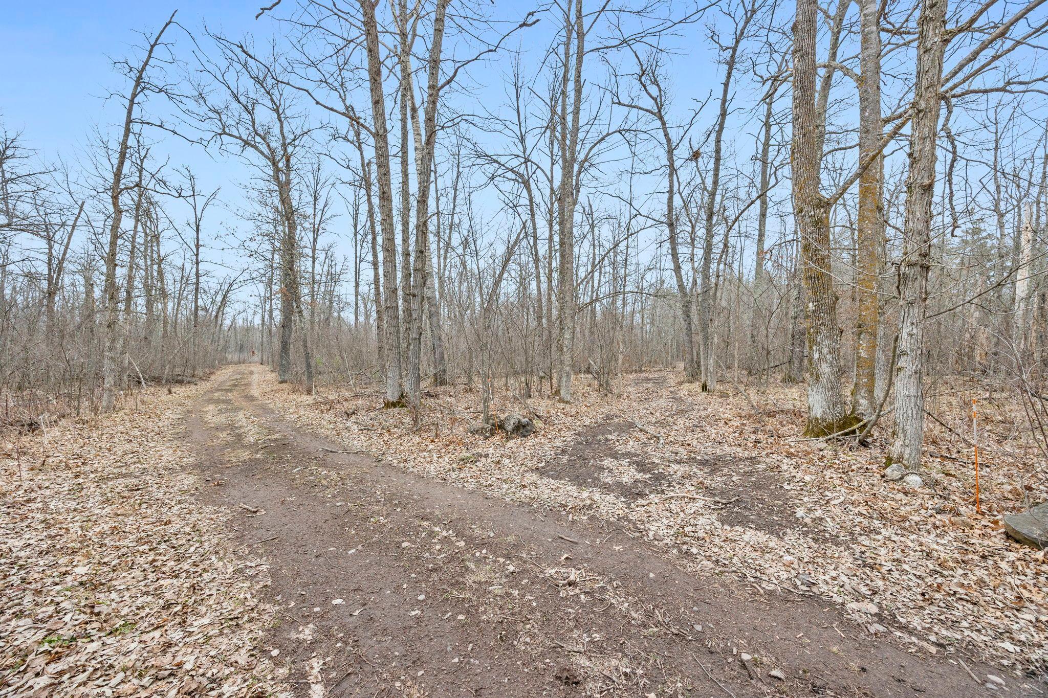 4996 Springbrook Trail Danbury, WI 54830 - Photo 45 of 61