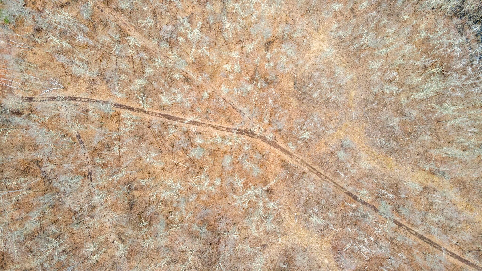 4996 Springbrook Trail Danbury, WI 54830 - Photo 59 of 61