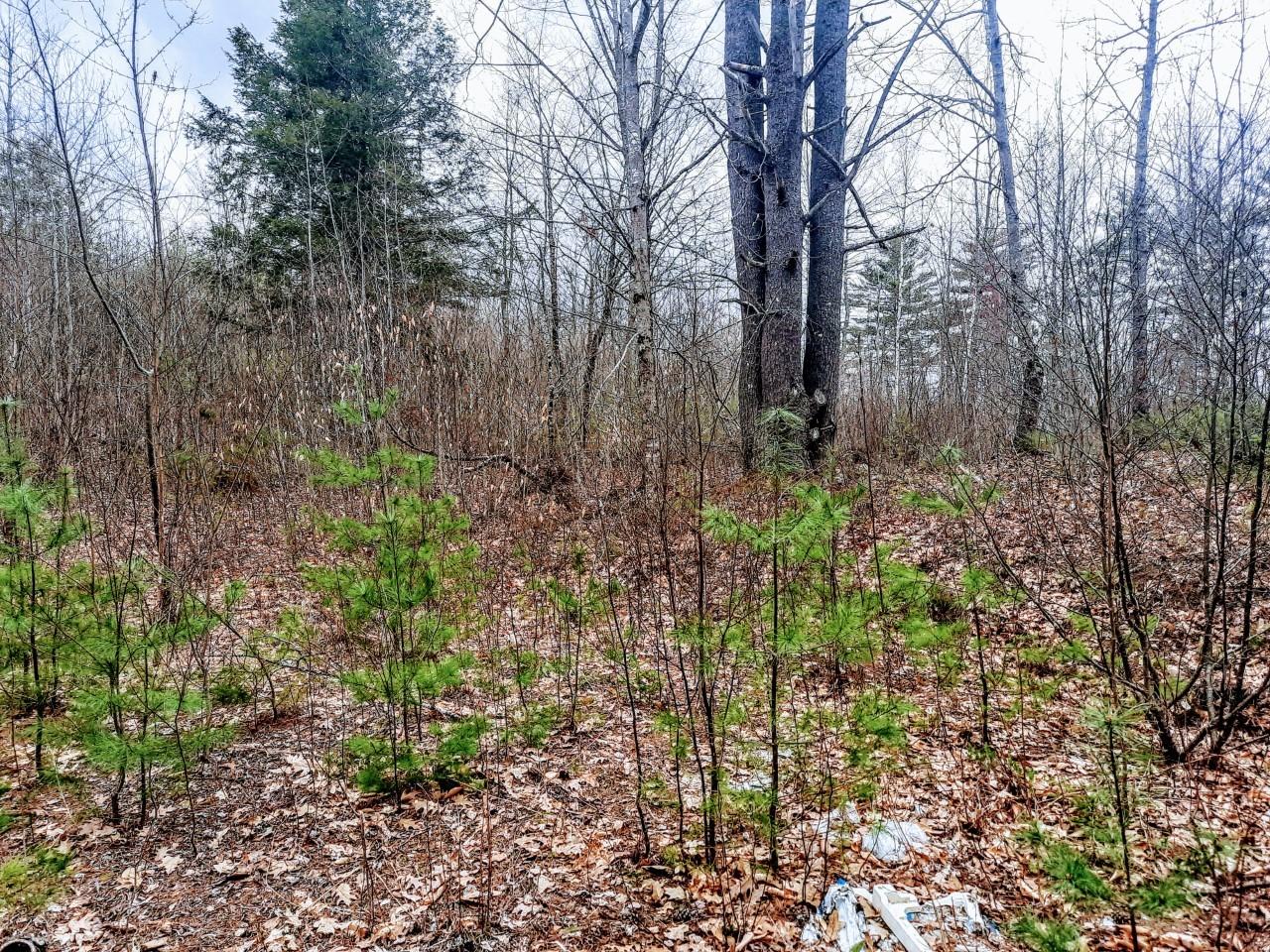 0 Lamson Road Augusta, ME 04330 - Photo 1 of 1 lamsonrd