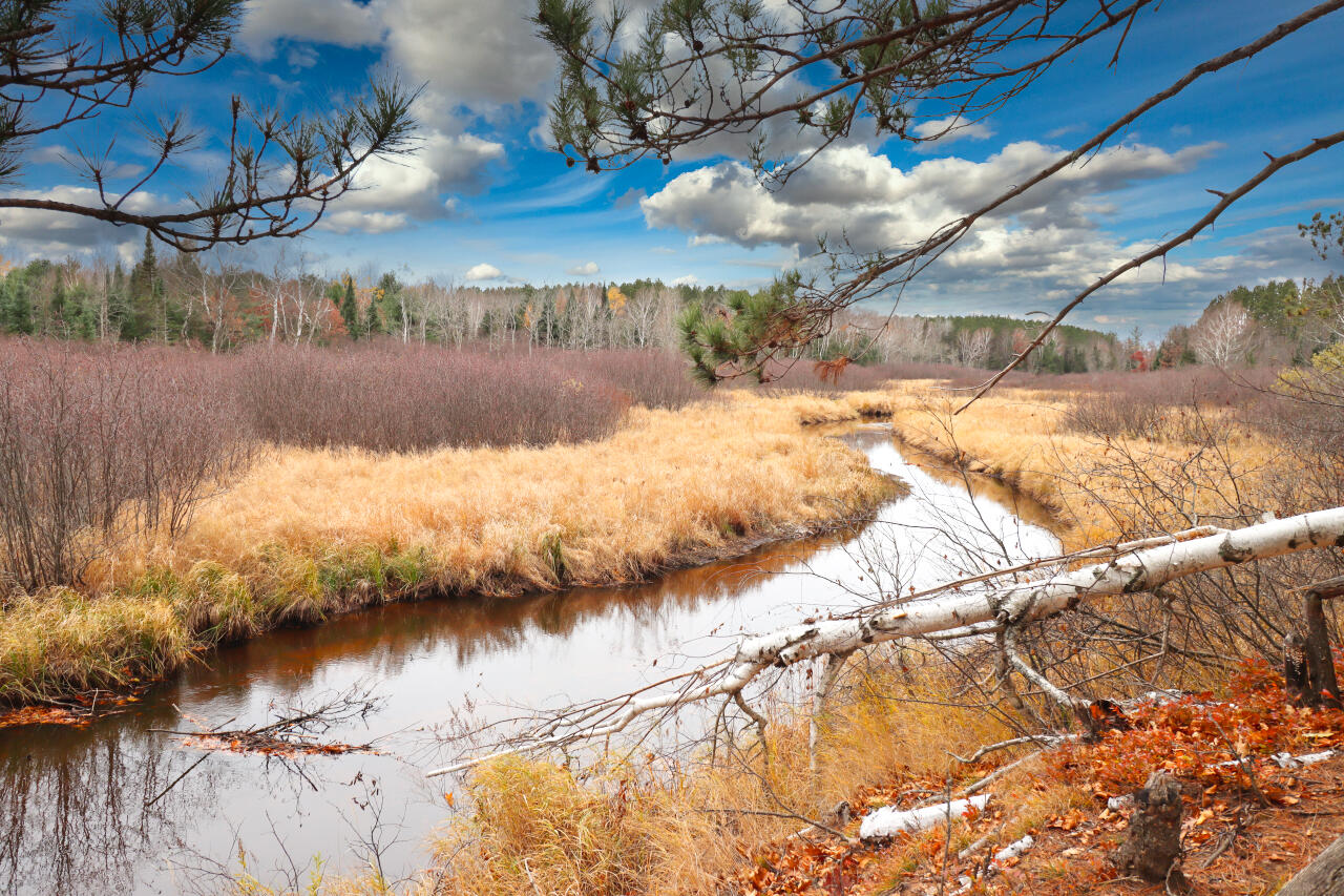 541 Bloom Road Lincoln, WI 54521 - Photo 23 of 25 Mud Creek