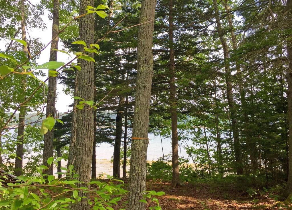 300 Reach Road Sedgwick, ME 04676 - Photo 8 of 29 Photo