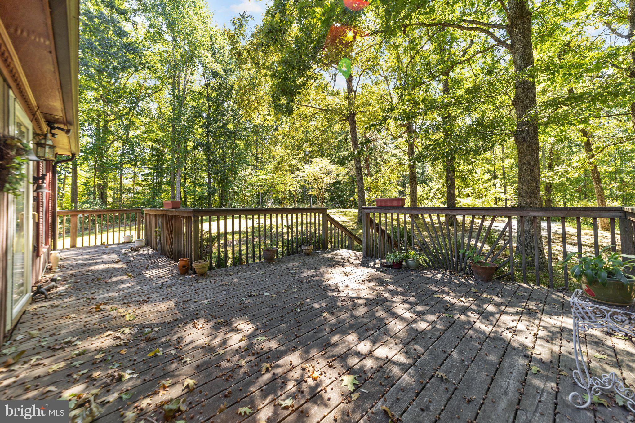 249 Angle Avenue Gum Spring, VA 23065 - Photo 34 of 45
