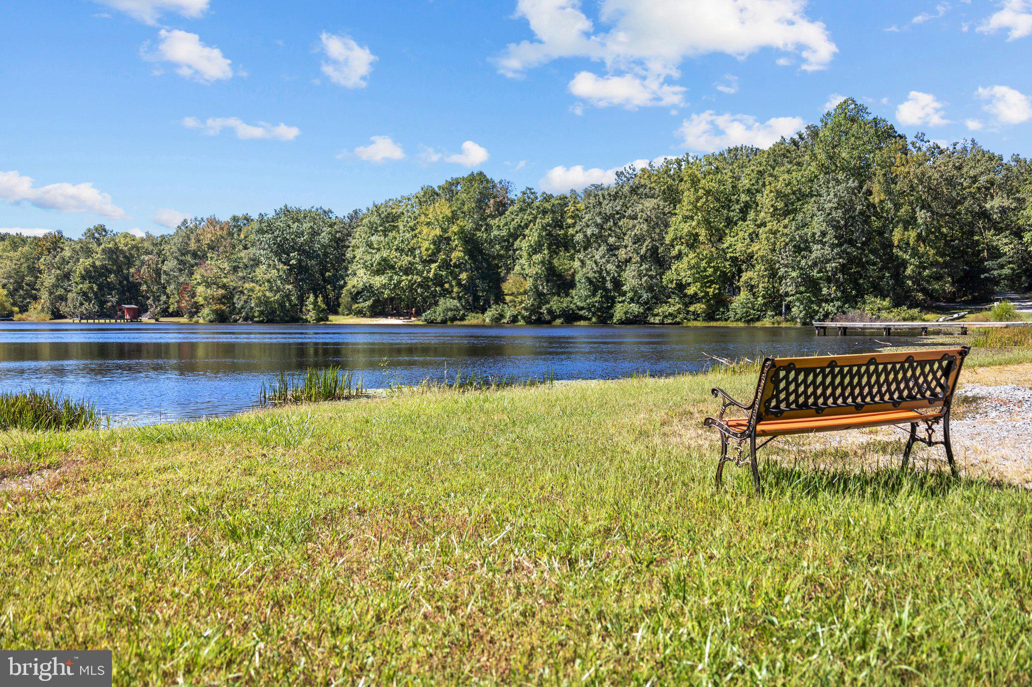 249 Angle Avenue Gum Spring, VA 23065 - Photo 44 of 45