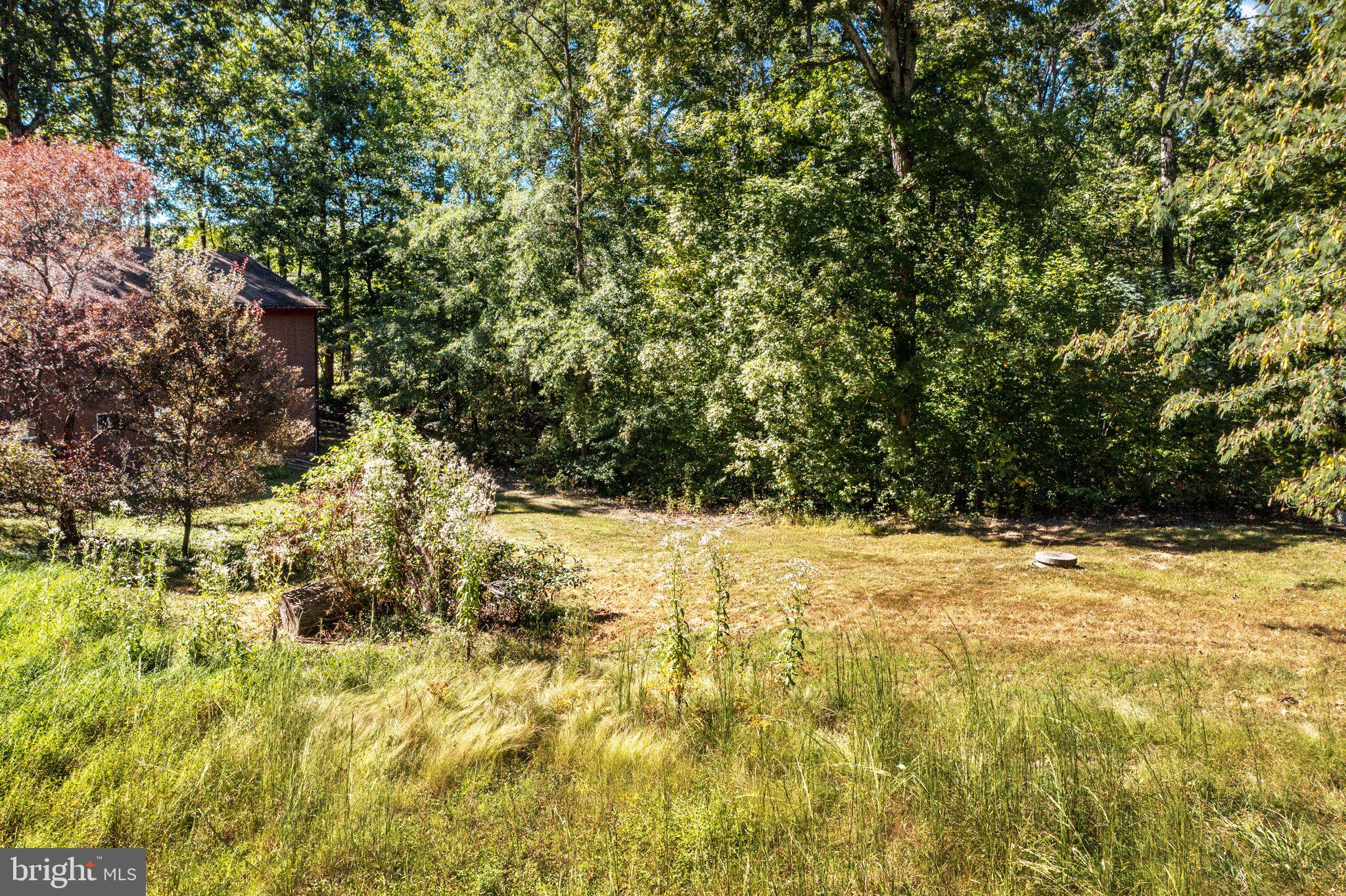 249 Angle Avenue Gum Spring, VA 23065 - Photo 10 of 45
