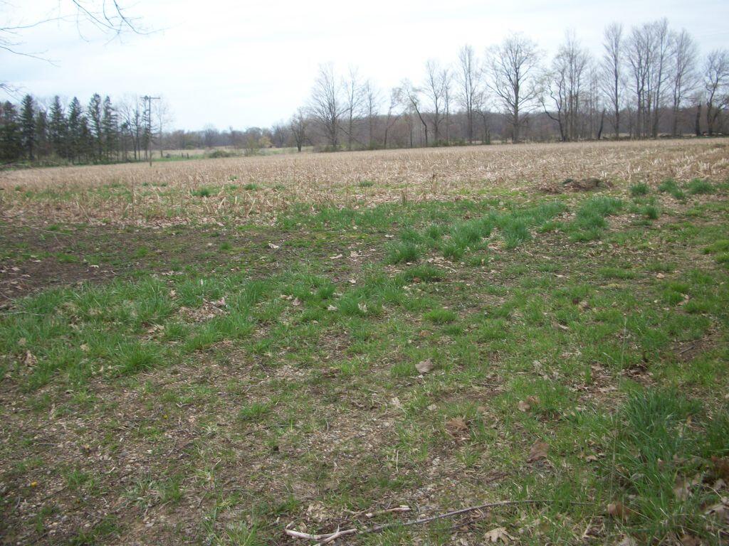 888 Bidwell Road Quincy, MI 49082 - Photo 11 of 23 888Bidwell11