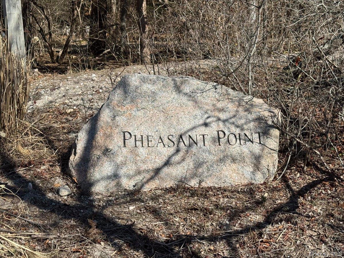 224 Centre Island Road Centre Island, NY 11771 - Photo 27 of 48