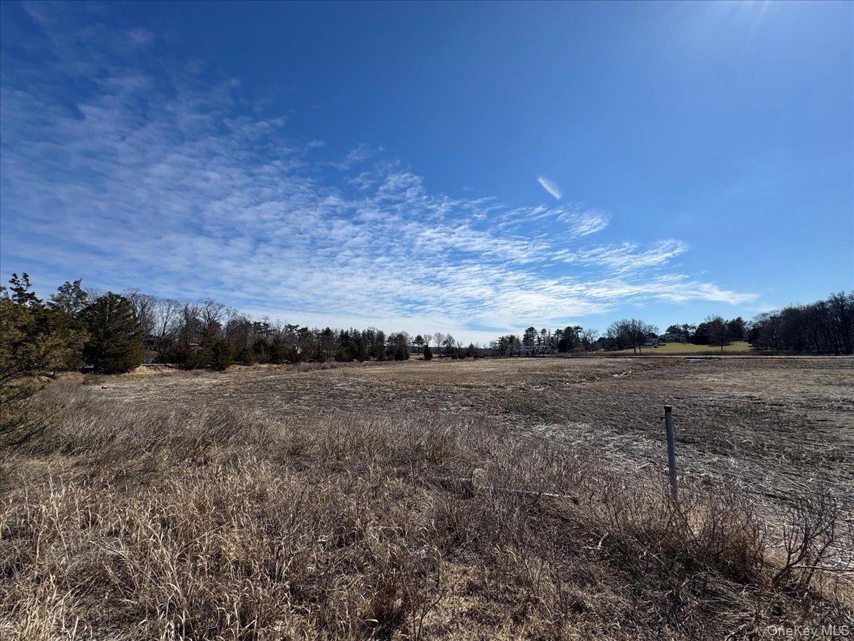 224 Centre Island Road Centre Island, NY 11771 - Photo 30 of 48