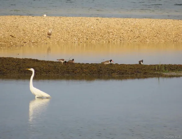 $2,995,000 | 224 Centre Island Road, Centre Island, NY 11771