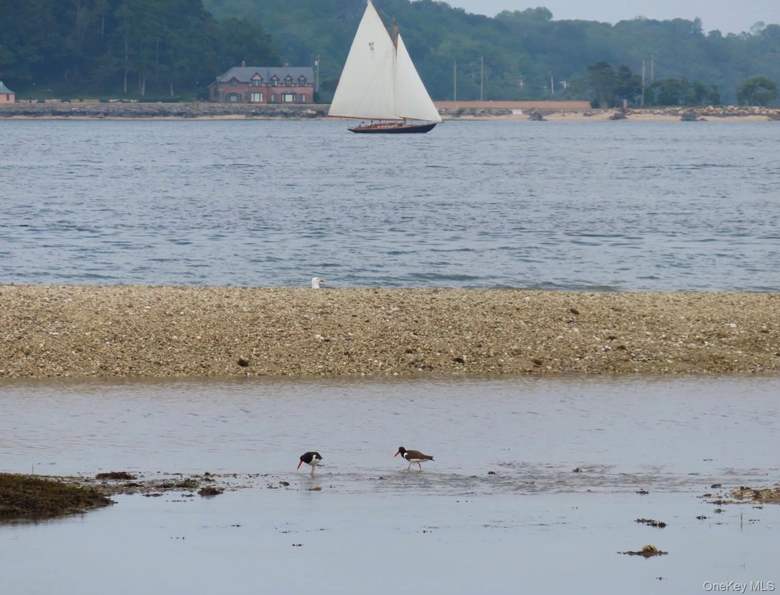 224 Centre Island Road Centre Island, NY 11771 - Photo 33 of 48