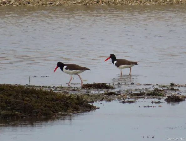 $2,995,000 | 224 Centre Island Road, Centre Island, NY 11771