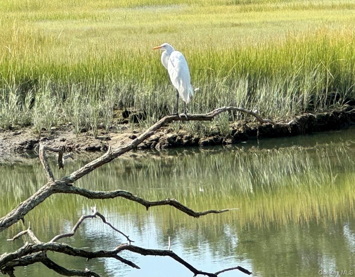 224 Centre Island Road Centre Island, NY 11771 - Photo 35 of 48