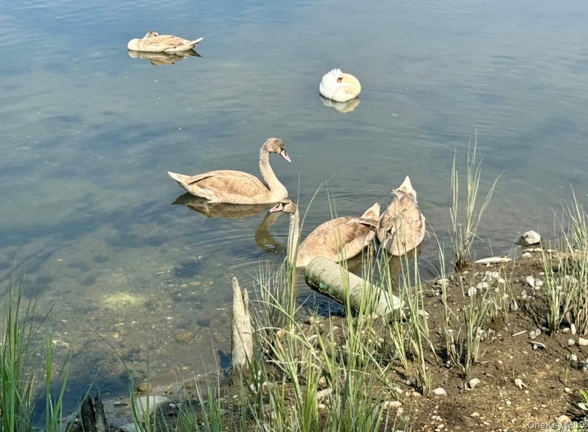 224 Centre Island Road Centre Island, NY 11771 - Photo 36 of 48