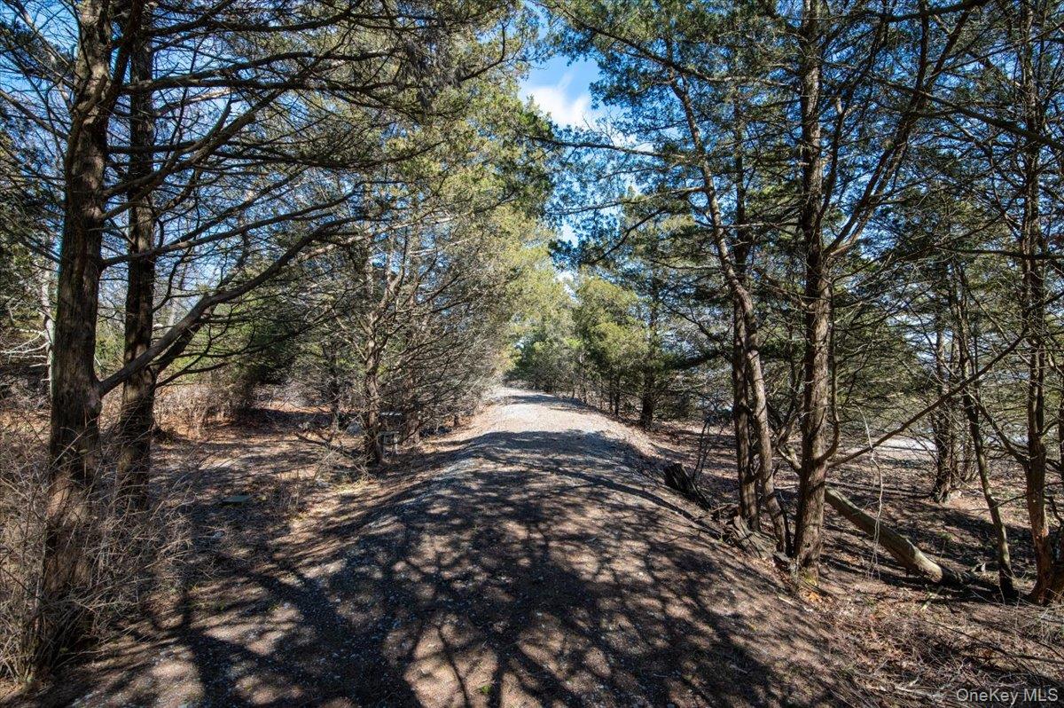 224 Centre Island Road Centre Island, NY 11771 - Photo 4 of 48