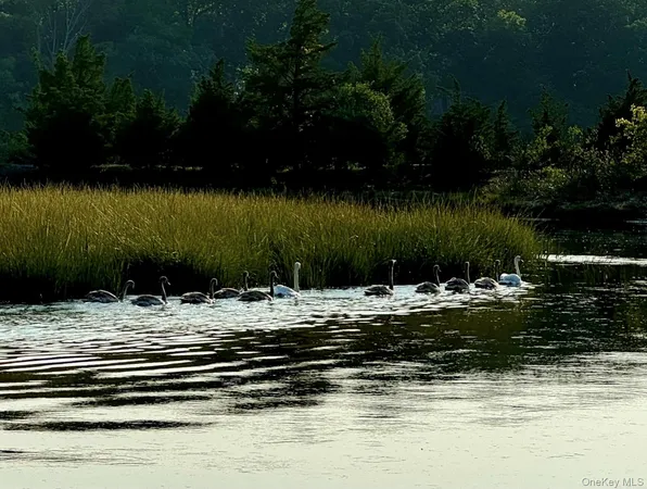 $2,995,000 | 224 Centre Island Road, Centre Island, NY 11771