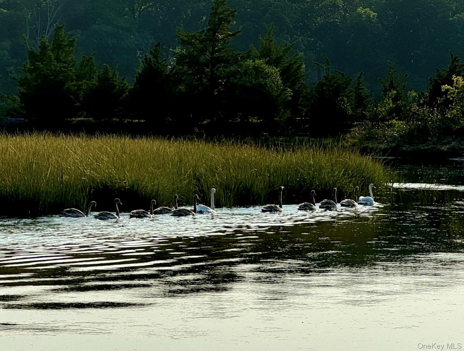 224 Centre Island Road Centre Island, NY 11771 - Photo 41 of 48