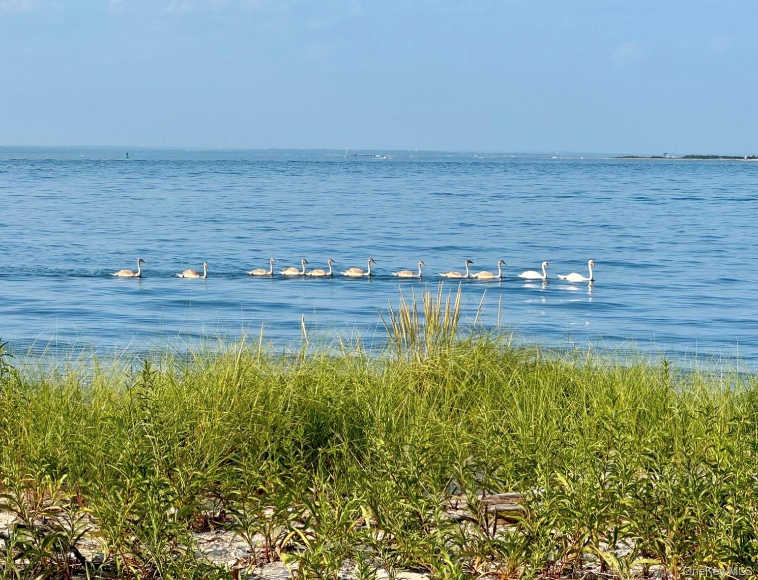 224 Centre Island Road Centre Island, NY 11771 - Photo 44 of 48