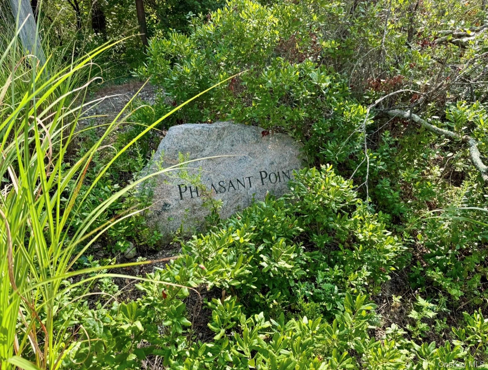 224 Centre Island Road Centre Island, NY 11771 - Photo 45 of 48