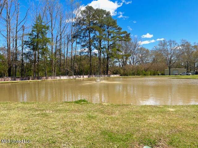 210 White Street Florence, MS 39073 - Photo 15 of 81 IMG_9150