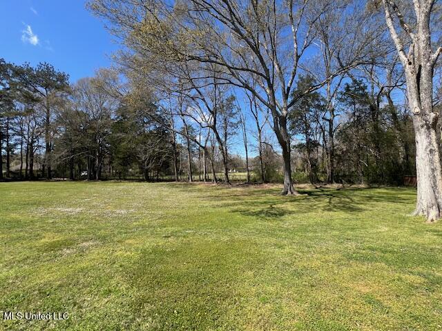 210 White Street Florence, MS 39073 - Photo 68 of 81 IMG_9171