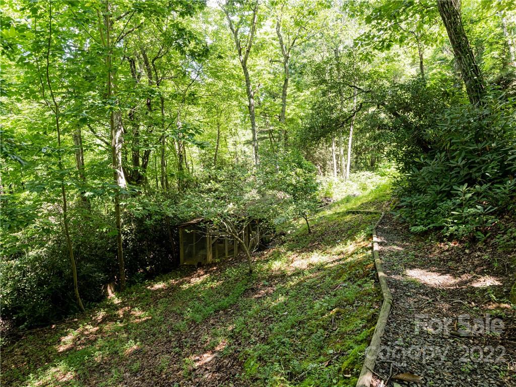 100 Pheasant Ridge Road Fairview, NC 28730 - Photo 38 of 46 Gallery Image 38