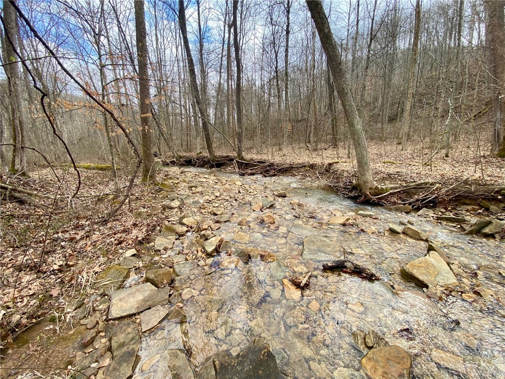 20 Beech Fork Road Lucasville, OH 45648 - Photo 6 of 17