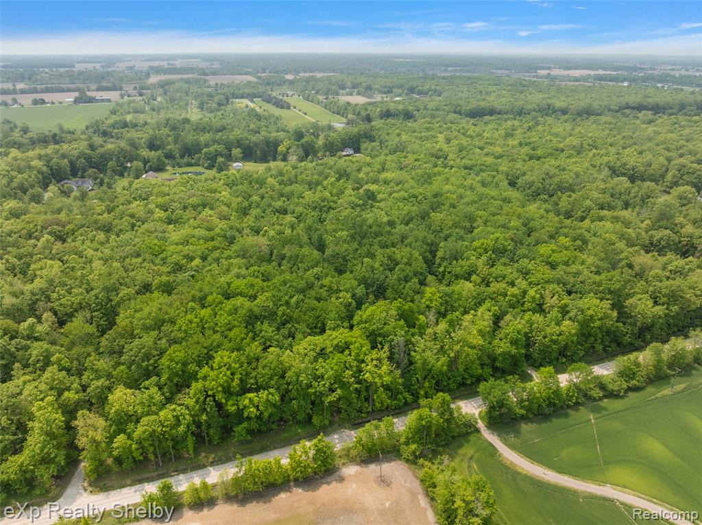14721 Terry Road Allenton, MI 48002 - Photo 27 of 35