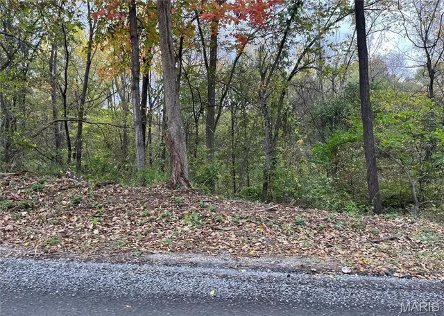 $10,000 | 509 East Wilson Avenue, Gillespie, IL 62033