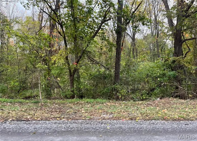 $10,000 | 509 East Wilson Avenue, Gillespie, IL 62033