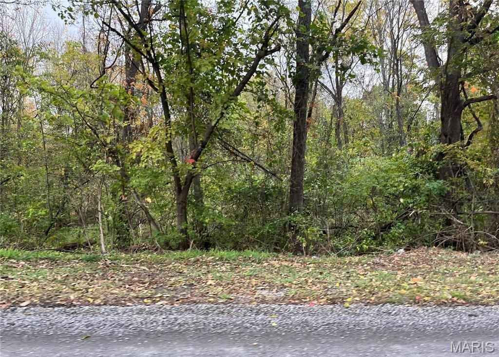 509 East Wilson Avenue Gillespie, IL 62033 - Photo 12 of 13