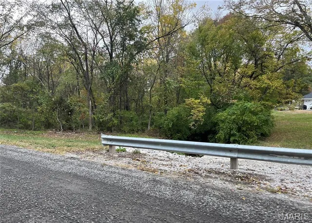 $10,000 | 509 East Wilson Avenue, Gillespie, IL 62033