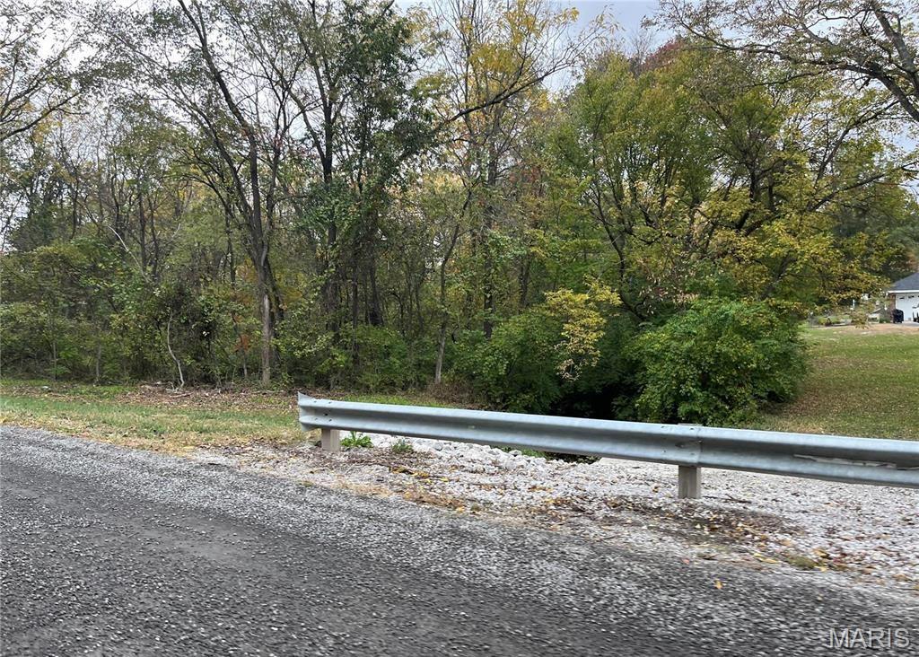 509 East Wilson Avenue Gillespie, IL 62033 - Photo 13 of 13