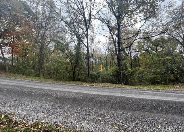 $10,000 | 509 East Wilson Avenue, Gillespie, IL 62033