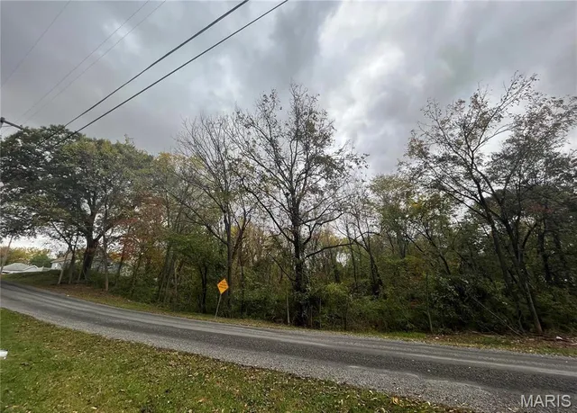 $10,000 | 509 East Wilson Avenue, Gillespie, IL 62033