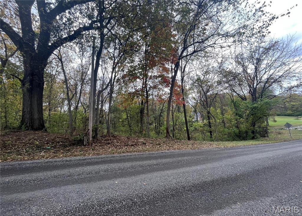 509 East Wilson Avenue Gillespie, IL 62033 - Photo 4 of 13